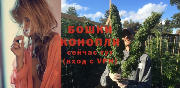 амф Горняк