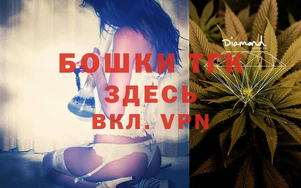 амф Горняк