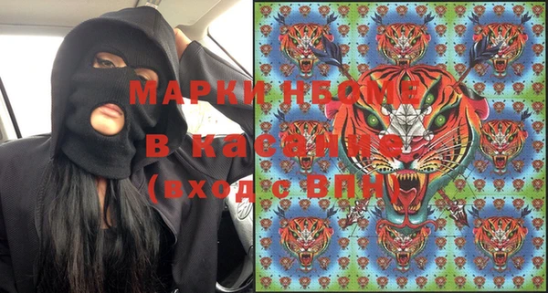 амф Горняк