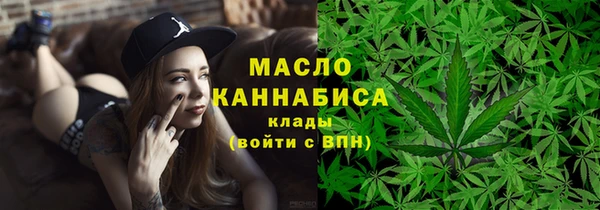 амф Горняк