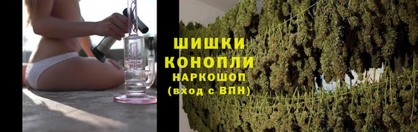 амф Горняк