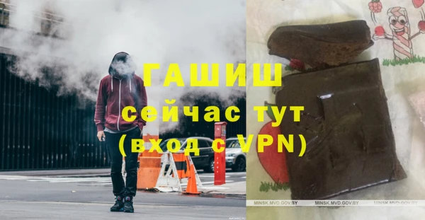амф Горняк